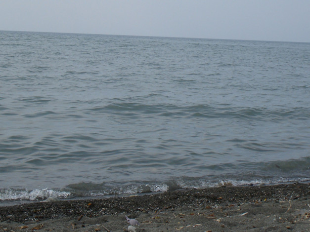 Обои картинки фото природа