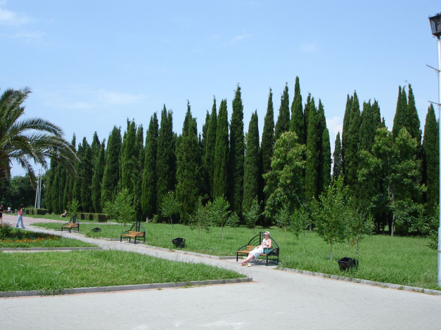 Обои картинки фото природа