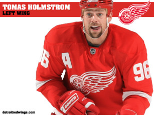 Картинка homstrom спорт nhl