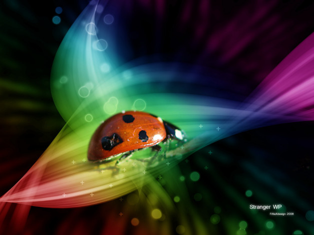 Обои картинки фото разное, компьютерный, дизайн