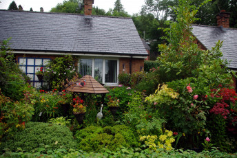 Картинка города здания дома дом кусты фигурки