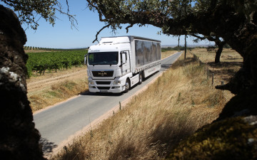 Картинка автомобили man грузовик авто