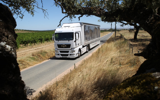 Обои картинки фото автомобили, man, грузовик, авто
