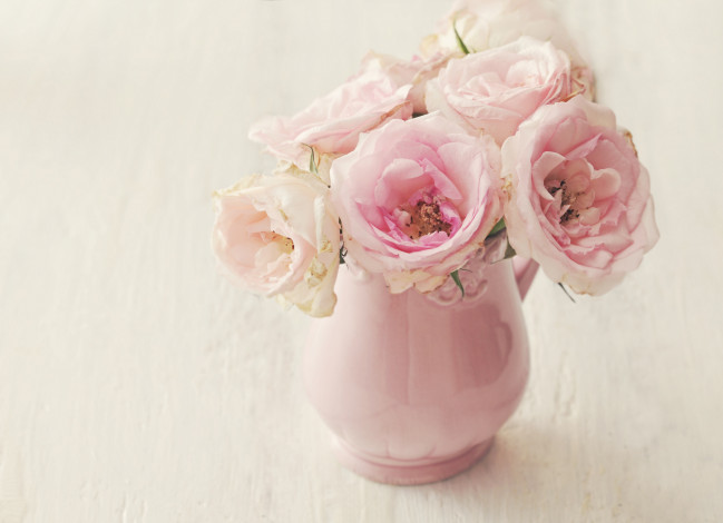 Обои картинки фото цветы, розы, кувшин