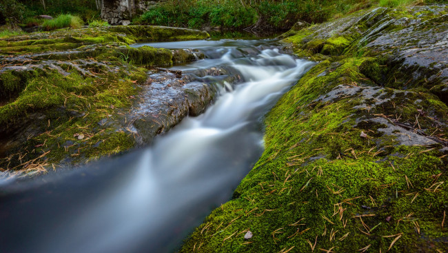 Обои картинки фото природа, реки, озера, мох, водопад, поток