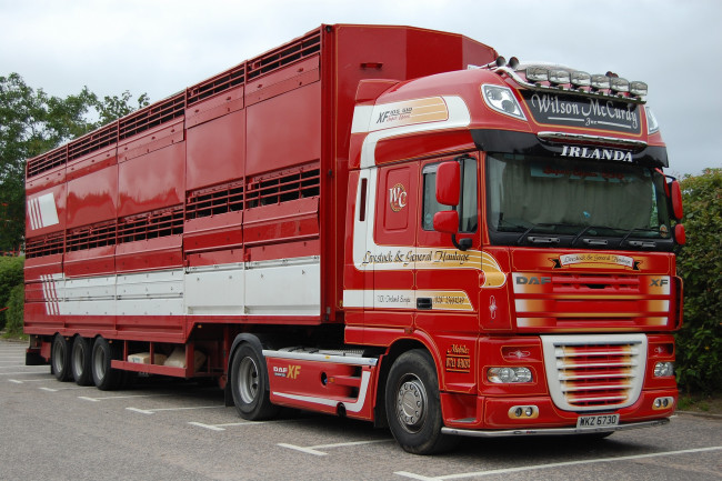 Обои картинки фото daf, автомобили, daf , выставка, улица, автобусы, седельные, тягачи, trucks, nv, нидерланды, шасси