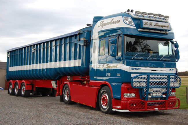 Обои картинки фото daf, автомобили, daf , выставка, улица, trucks, nv, седельные, тягачи, шасси, нидерланды, автобусы