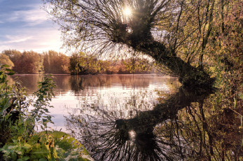 Картинка природа реки озера река лес осень