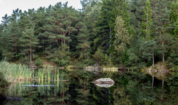 Картинка природа реки озера лес река