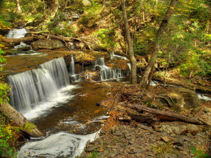 Картинка природа водопады лес деревья поток водопад