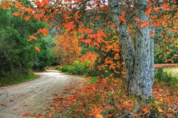 Картинка природа дороги тракт