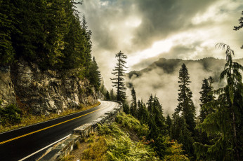 Картинка природа дороги тракт