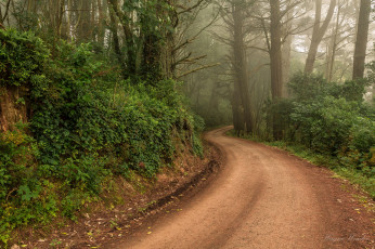 Картинка природа дороги тракт