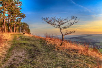 Картинка природа дороги тракт