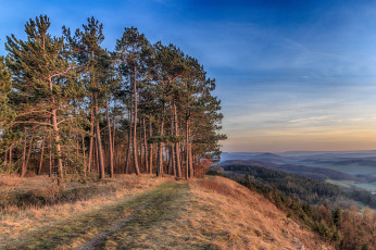 Картинка природа дороги тракт