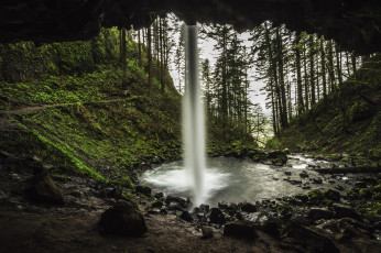 Картинка природа водопады водопад река лес