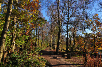 Картинка природа дороги тракт