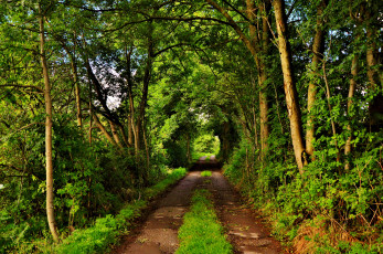 Картинка природа дороги тракт