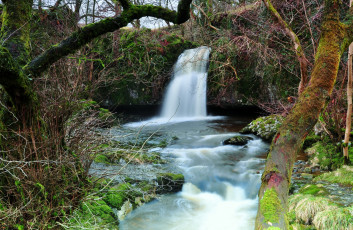 Картинка природа водопады водопад река лес
