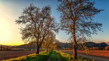 Картинка природа дороги тракт