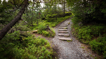 Картинка природа дороги тракт