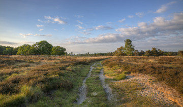 Картинка природа дороги тракт