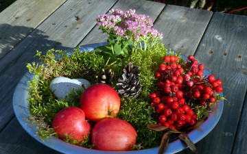 Картинка еда Яблоки шишки ягоды