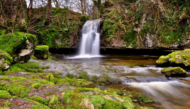 Обои картинки фото природа, водопады, водопад, река, лес