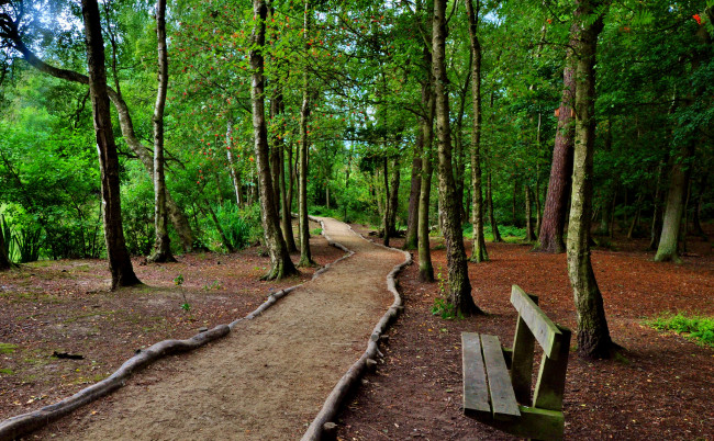 Обои картинки фото природа, дороги, тракт