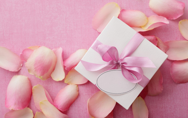 Обои картинки фото праздничные, день святого валентина,  сердечки,  любовь, delicate, pink, rose, petals, valentine's, day, love, heart, romantic, любовь, подарок, розы