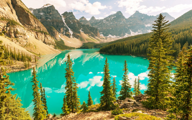 Обои картинки фото природа, реки, озера, moraine, lake, banff, national, park, canada, landscape, озеро, лес