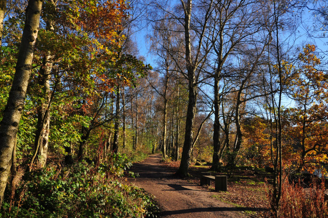 Обои картинки фото природа, дороги, тракт