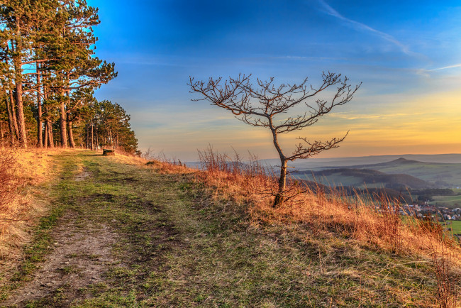 Обои картинки фото природа, дороги, тракт