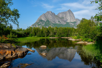 Картинка природа реки озера река лес