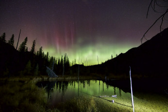 Картинка природа северное+сияние лес болота ночь звезды небо северное сияние