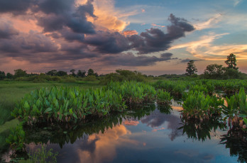 Картинка природа реки озера лес река