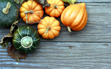 Картинка еда тыква урожай осень