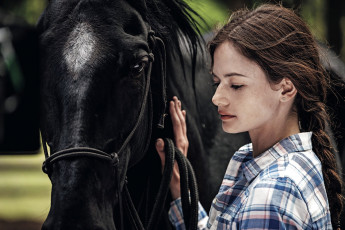 Картинка black+beauty+2020 кино+фильмы black+beauty black beauty