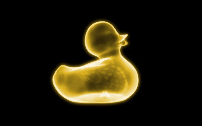 Обои картинки фото разное, кости,  рентген, уточка