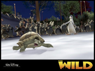 Картинка мультфильмы the wild