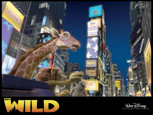 Картинка мультфильмы the wild