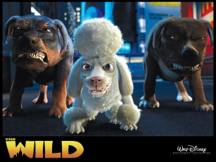 Картинка мультфильмы the wild