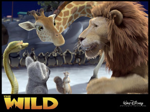 Картинка мультфильмы the wild