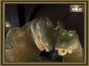 Картинка the wild мультфильмы