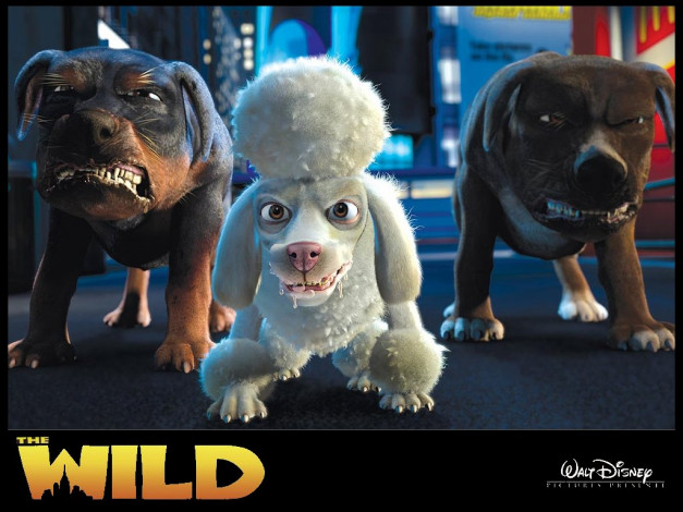 Обои картинки фото мультфильмы, the, wild
