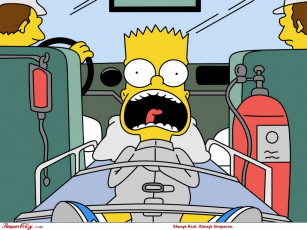 Картинка мультфильмы the simpsons