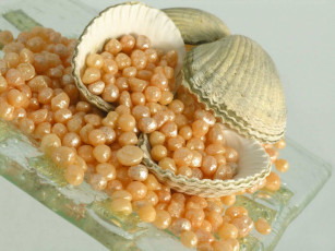Картинка разное ракушки кораллы декоративные spa камни