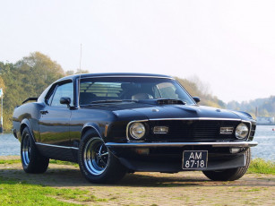 Картинка автомобили mustang