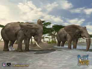 Картинка wild earth видео игры