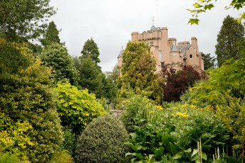 Картинка crathes castle города дворцы замки крепости кусты деревья замок